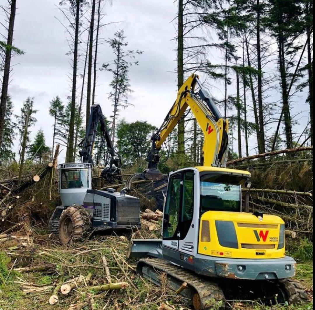 Sustainable forestry